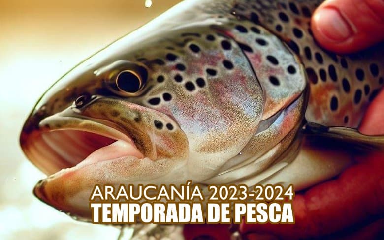 Inicio de Temporada de Pesca en la Araucanía