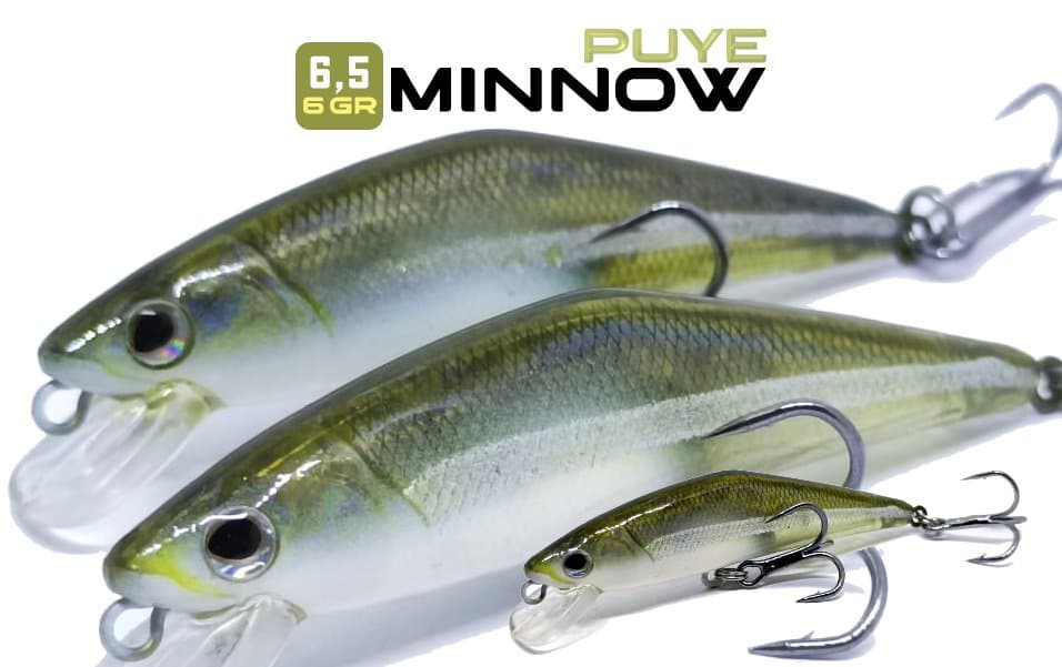 6 - Minnow Puye Natural
