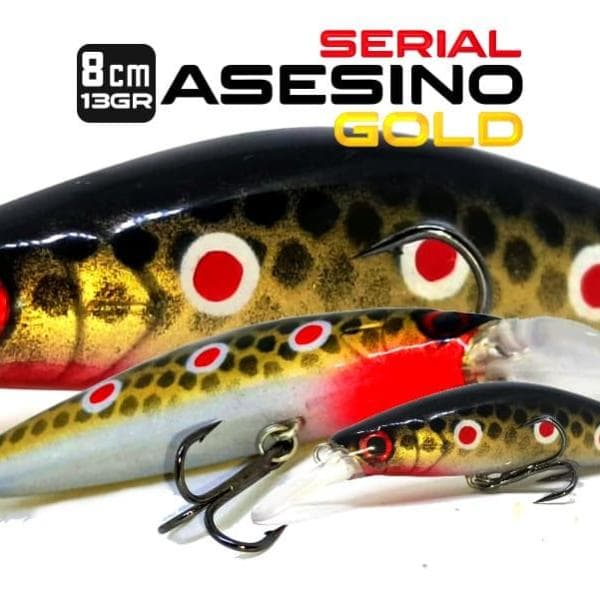 11 - Minnow Asesino Gold