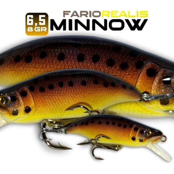 8 - Fario Realis 6,5cm