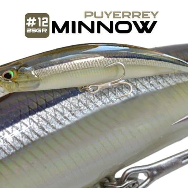 17 - Minnow Puyerrey