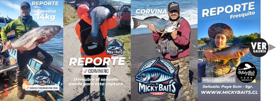 Reportes MickyBaits