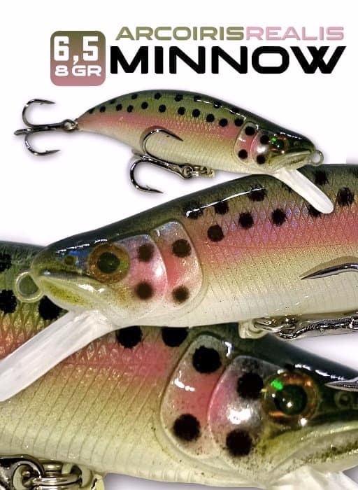 Minnow Arcoiris Realis 6,5cm - 8gr.