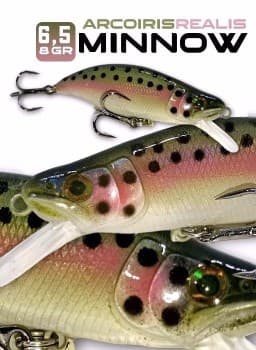 Minnow Arcoiris Realis 6,5cm - 8gr.
