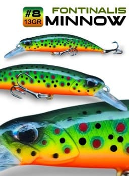 Minnow-fontinalis-8-13